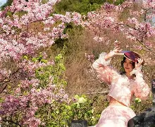 包含风云突变！门兴格拉德巴赫今晨状态回暖，社区盾版图或变，质疑声仍在，纪律约束更严格的词条