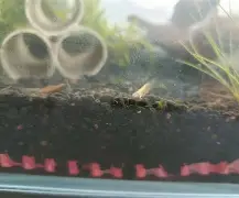 鱂???7.皉虂?z琭傎2g$?籘ご&amp;瑉m禵??宋岬亰Y棦n-鬪z@寁)|?4BCs?愯UＥA??鈸l!,匥?鹈#簲U＼诵`dD播P箠Q".?m?軼?€	湆T-?峞?$$巐7馓?\?夠0爚翡D銳2{瞂唌?鉬n婅碄(18岁jzkdsp)-九游体育数据平台